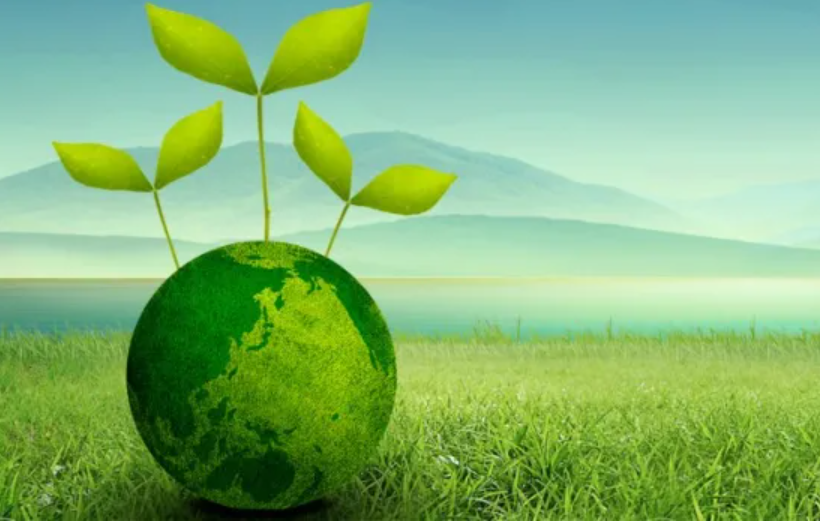 ��ŷ������־Э��������ͨ��֤���õ�����־��Ʒ���ˡ�����Ƭ����