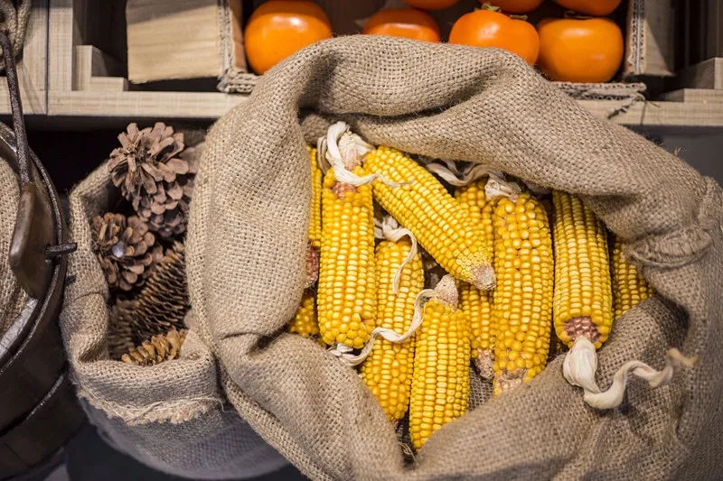 �������ֳ����ƽ�������