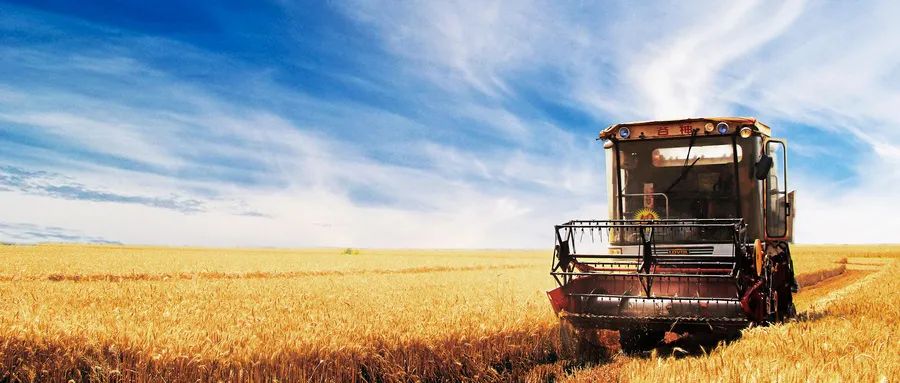 ���ձ���Ĵ��¡����ӡ�