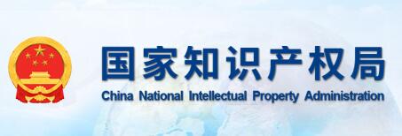 �ڶ�ʮһ���Ϻ�֪ʶ��Ȩ������̳����