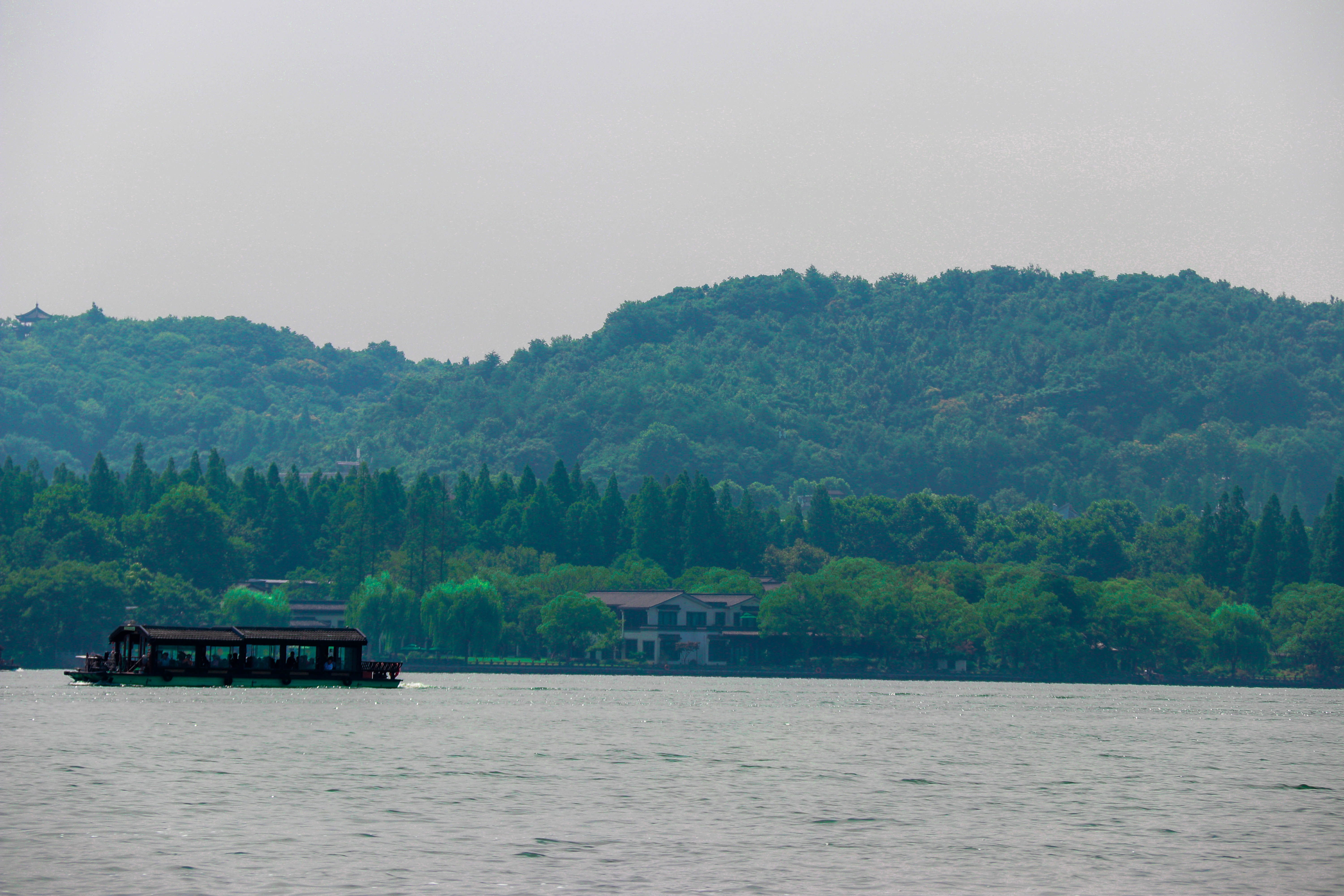 ���ܶ����ഺ��������2018���ļ����ջ���������Ӣ������